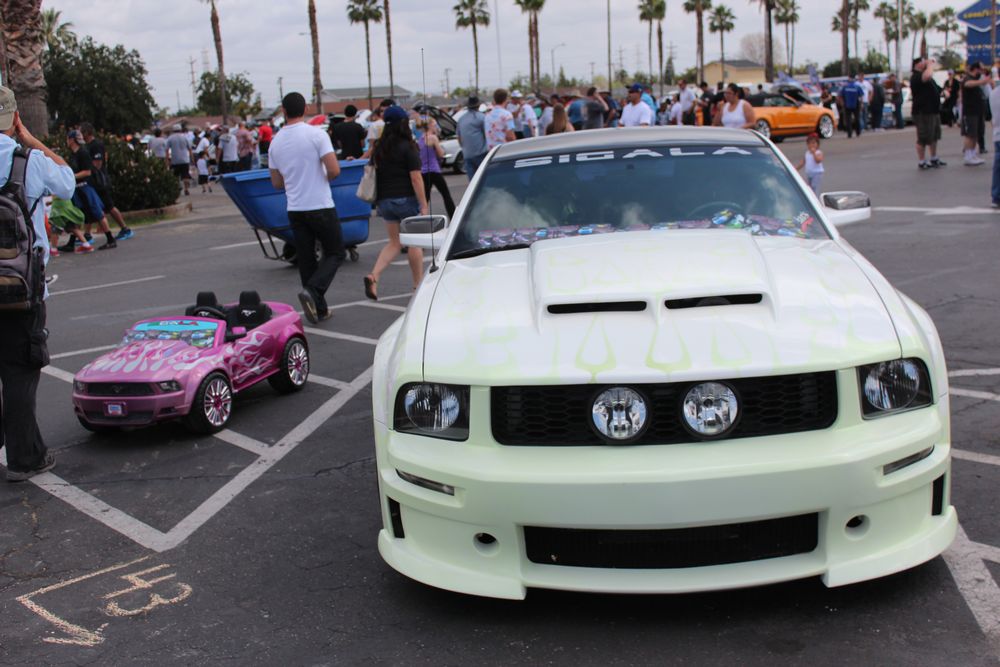 Name:  tn_IMG_8956_zps55b211f7.jpg
Views: 28
Size:  106.1 KB