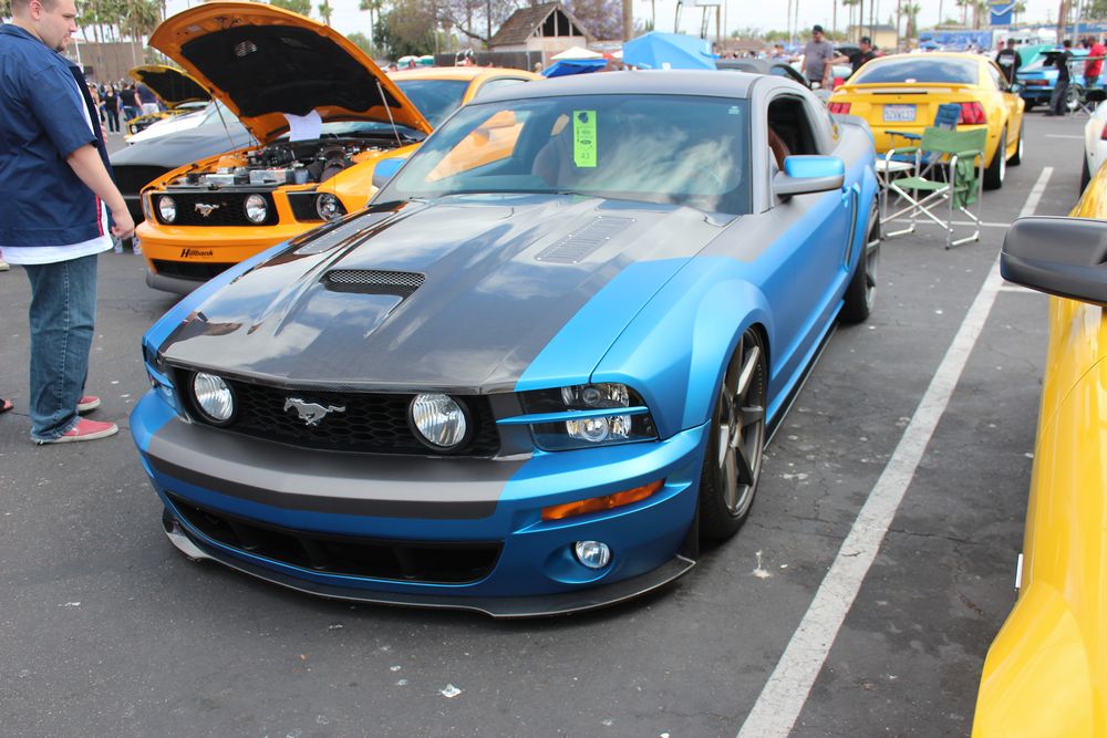 Name:  tn_IMG_8954_zpsf85e7ff3.jpg
Views: 33
Size:  123.8 KB