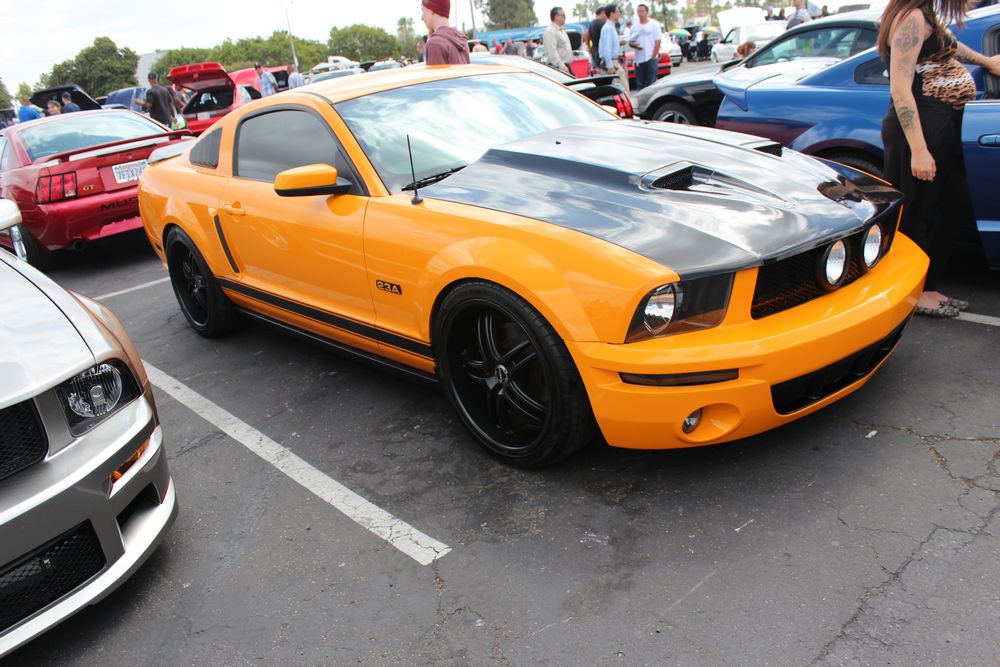 Name:  tn_IMG_8953_zps366271aa.jpg
Views: 28
Size:  127.2 KB