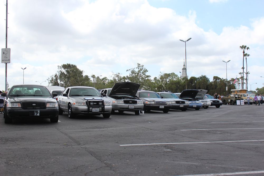 Name:  tn_IMG_8927_zpsb589dde8.jpg
Views: 30
Size:  94.0 KB