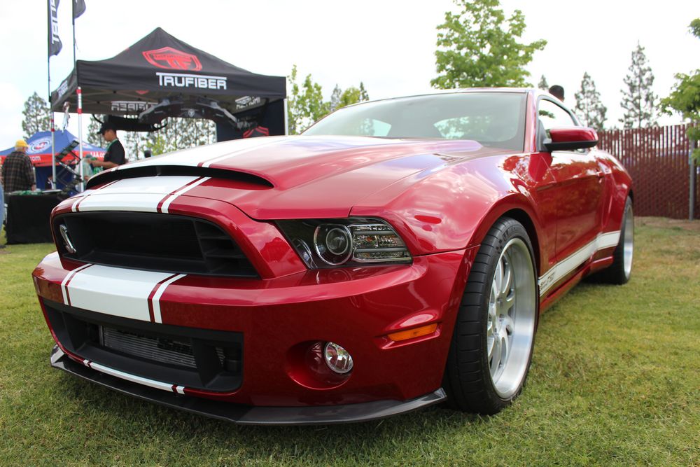 Name:  tn_IMG_8924_zps04ded408.jpg
Views: 33
Size:  127.0 KB