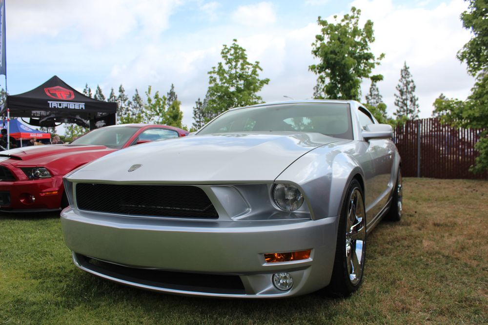 Name:  tn_IMG_8923_zpsbd585e3a.jpg
Views: 31
Size:  111.1 KB