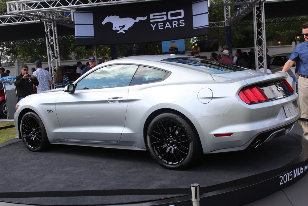 Name:  tn_IMG_8919_zps3701ca49.jpg
Views: 34
Size:  113.2 KB