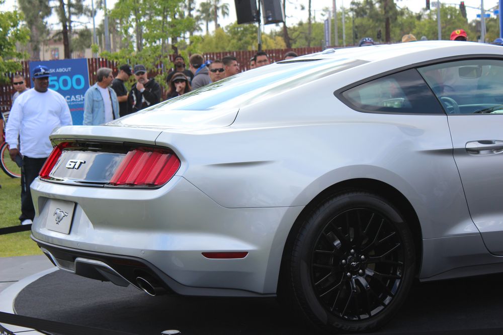 Name:  tn_IMG_8918_zps9573fa6a.jpg
Views: 29
Size:  93.8 KB