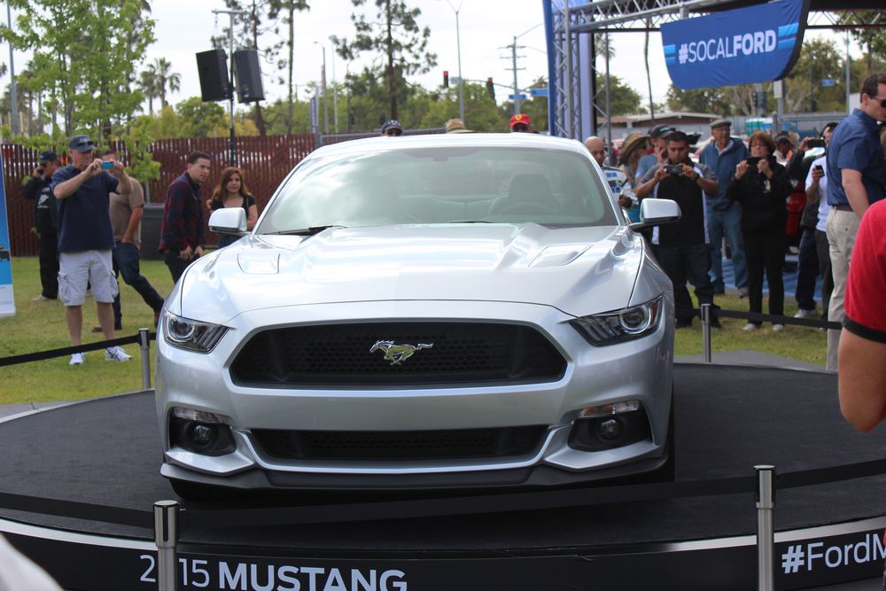 Name:  tn_IMG_8917_zps1f29ecb8.jpg
Views: 27
Size:  112.7 KB