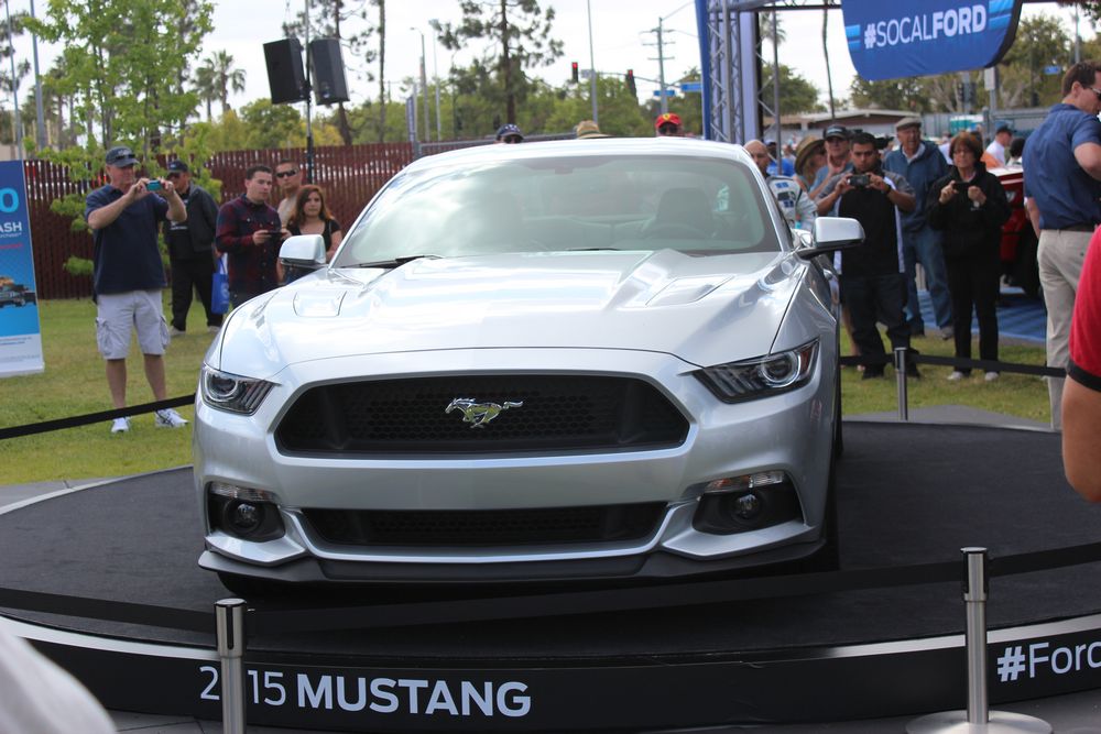 Name:  tn_IMG_8916_zpsc468c5b2.jpg
Views: 33
Size:  110.1 KB