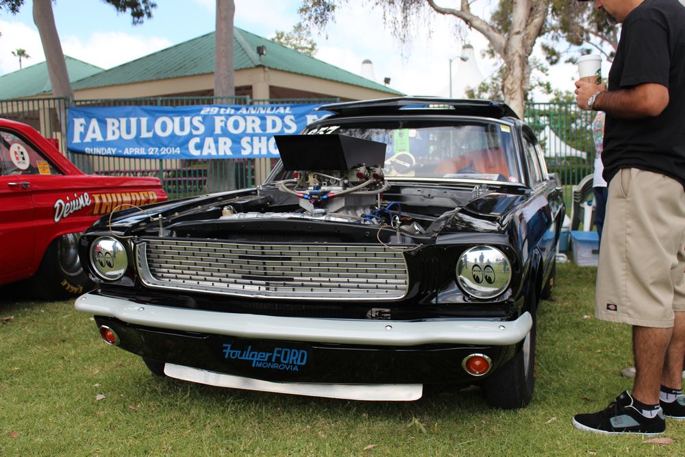 Name:  tn_IMG_8911_zpsb3f4923e.jpg
Views: 31
Size:  146.8 KB