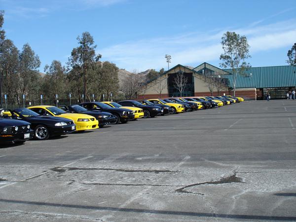 Bumblebee Cruise January 26 Saleen HQ Irvine, CA-bumblee-cruise.jpg
