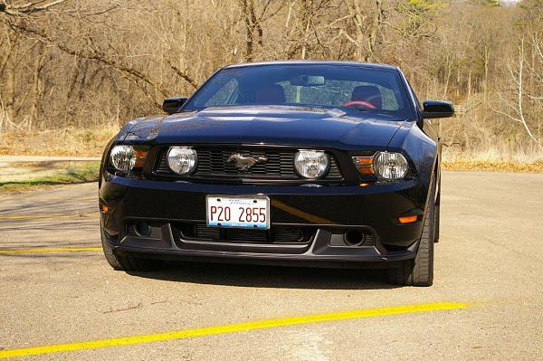 Illinois?-mustang-02.jpg