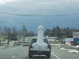 Name:  snow dick.jpg
Views: 75
Size:  19.1 KB