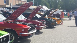 Name:  ForumRunner_20130811_153807.jpg
Views: 187
Size:  22.8 KB