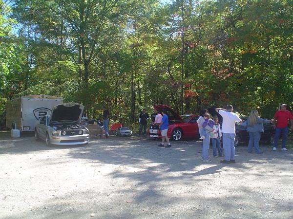 Indiana Meet and Greet, OH. ILL, KY, MI Welcome too-stangstock1.jpg