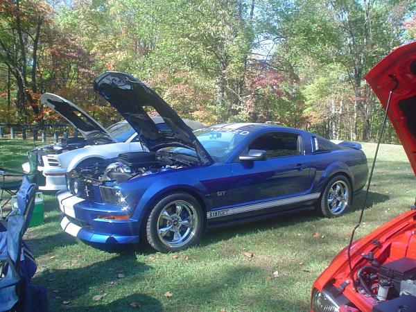 Indiana Meet and Greet, OH. ILL, KY, MI Welcome too-stangstock2.jpg