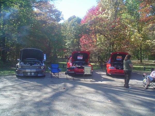 Indiana Meet and Greet, OH. ILL, KY, MI Welcome too-stangstock3.jpg