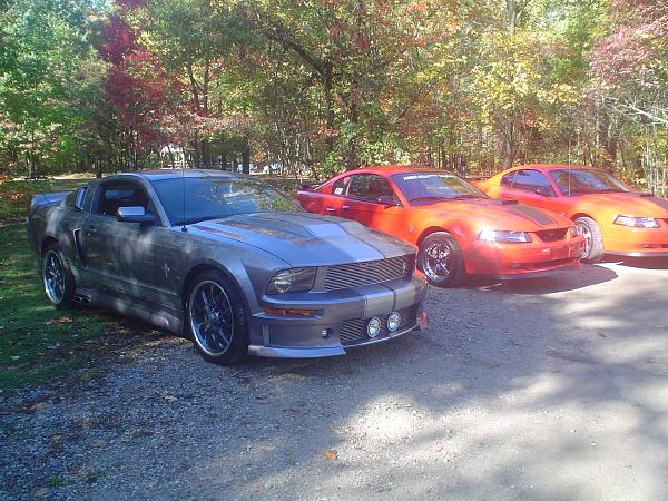 Indiana Meet and Greet, OH. ILL, KY, MI Welcome too-stangstock4.jpg