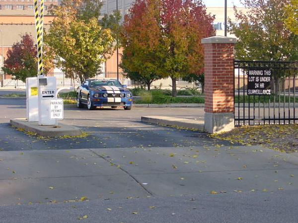 Paging all St. Louis, MO stangs-welts-028.jpg