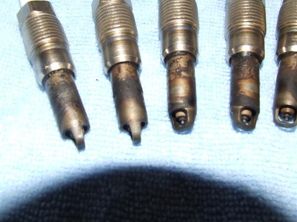 Midwest TMS'ers General Communication Thread-dscf1036.jpg