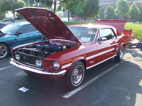 Midwest TMS'ers General Communication Thread-mca-2nd-016.jpg