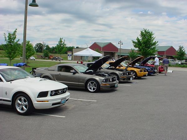 Missouri Mustangs! Please Read!-dsc00088.jpg