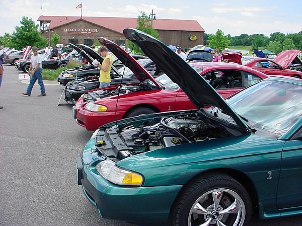 Missouri Mustangs! Please Read!-dsc00092.jpg