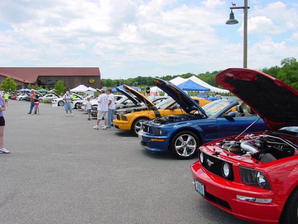 Missouri Mustangs! Please Read!-mustang-hi-res-020.jpg