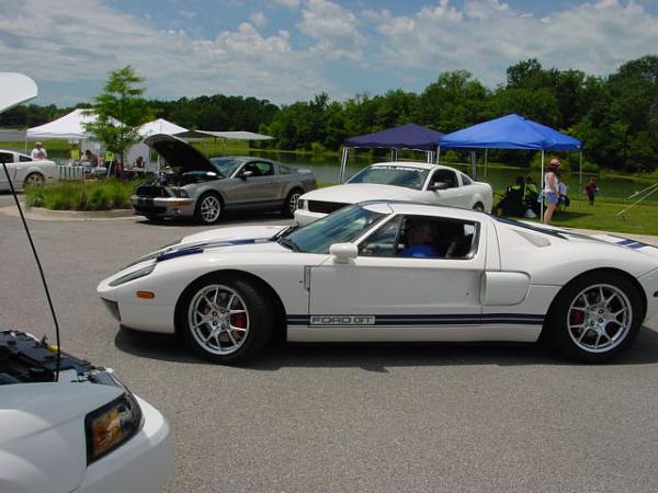 Missouri Mustangs! Please Read!-mustang-hi-res-021.jpg