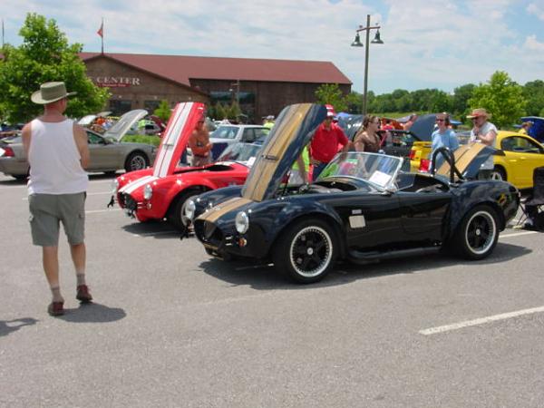 Missouri Mustangs! Please Read!-mustang-hi-res-022.jpg