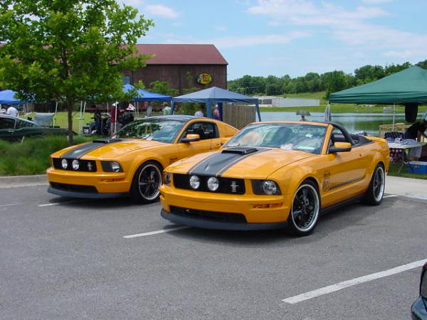 Missouri Mustangs! Please Read!-mustang-hi-res-023.jpg