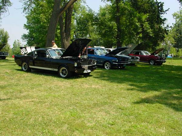 Missouri Mustangs! Please Read!-7-08-car-show-011.jpg