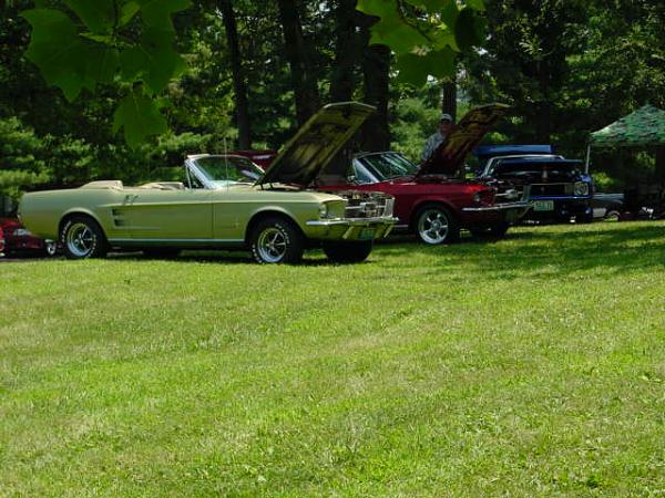 Missouri Mustangs! Please Read!-7-08-car-show-013.jpg
