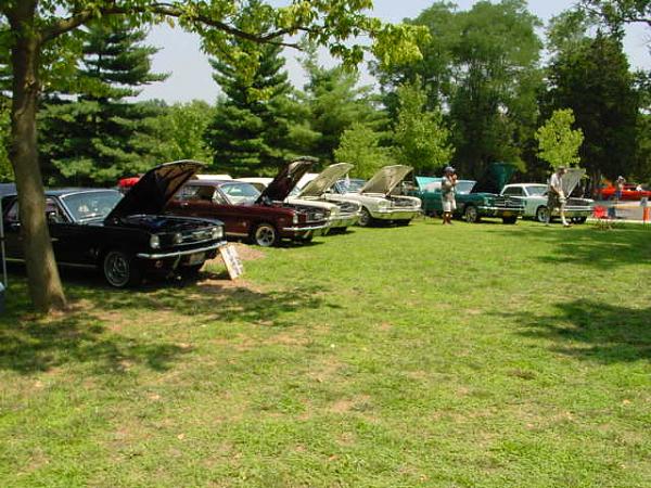 Missouri Mustangs! Please Read!-7-08-car-show-015.jpg