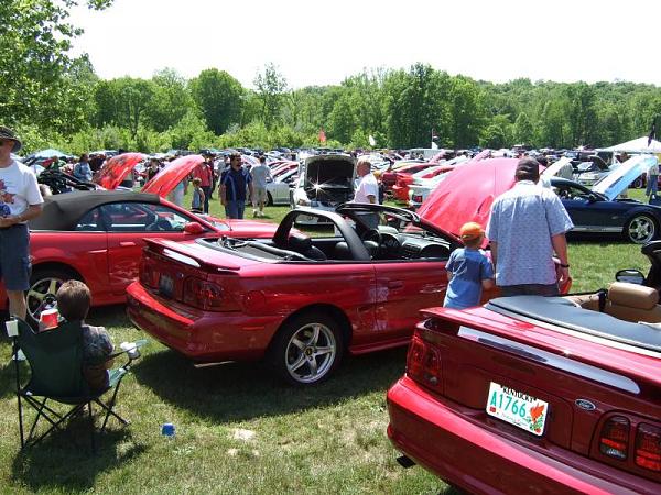 Fall 2008 StangStock!  You, get in here!!-dscf0985.jpg