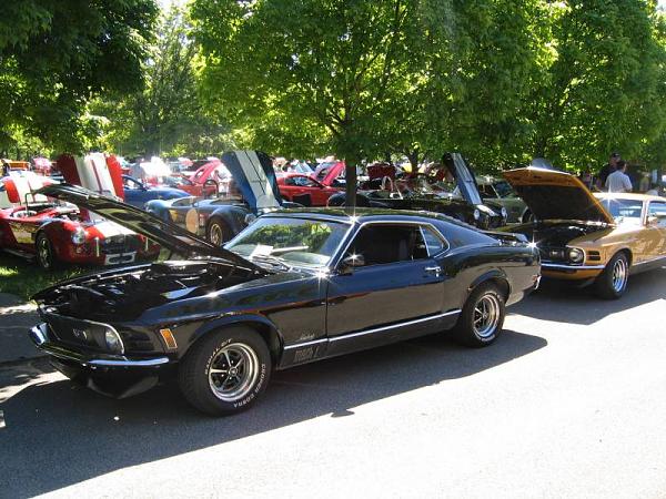 Fall 2008 StangStock!  You, get in here!!-picture-259.jpg