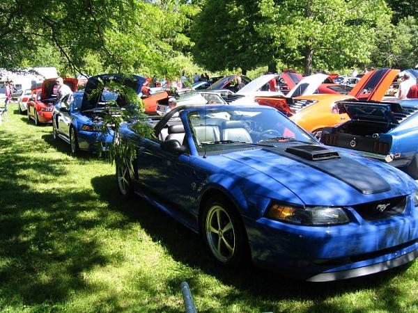 Fall 2008 StangStock!  You, get in here!!-picture-268.jpg