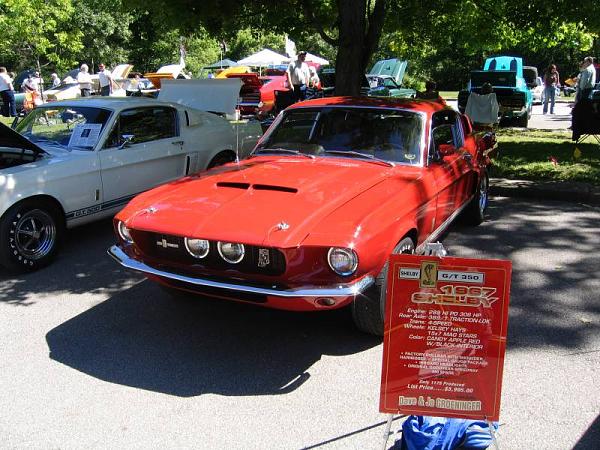 Fall 2008 StangStock!  You, get in here!!-picture-272.jpg