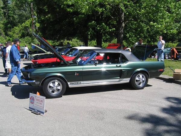 Fall 2008 StangStock!  You, get in here!!-picture-273.jpg