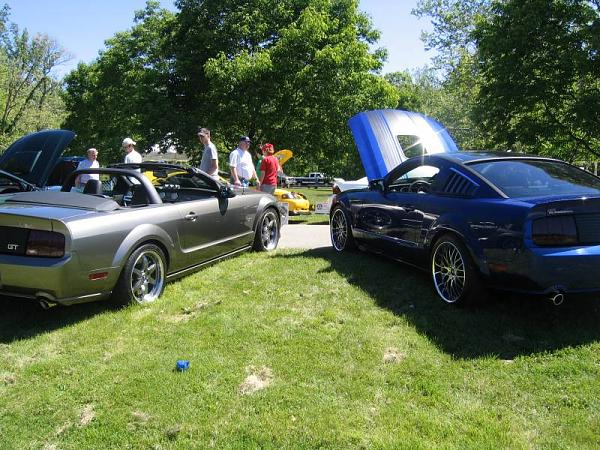 Fall 2008 StangStock!  You, get in here!!-picture-283.jpg