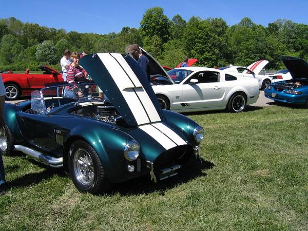 Fall 2008 StangStock!  You, get in here!!-picture-284.jpg