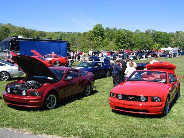 Fall 2008 StangStock!  You, get in here!!-picture-287.jpg