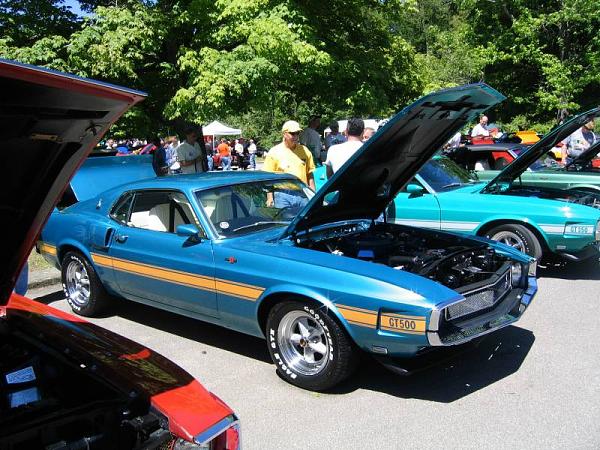 Fall 2008 StangStock!  You, get in here!!-picture-306.jpg