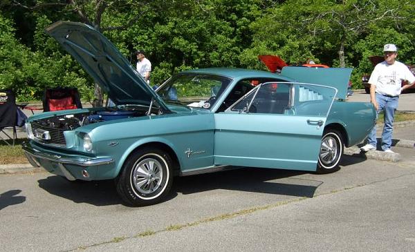 Fall 2008 StangStock!  You, get in here!!-dscf0959.jpg