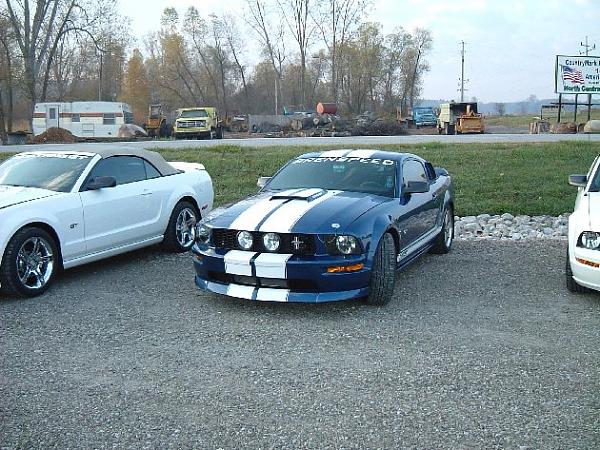 Fall 2008 StangStock!  You, get in here!!-dscf0020.jpg