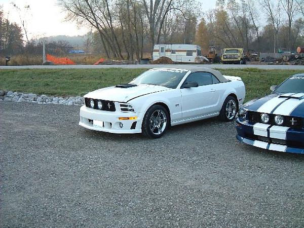 Fall 2008 StangStock!  You, get in here!!-dscf0021.jpg