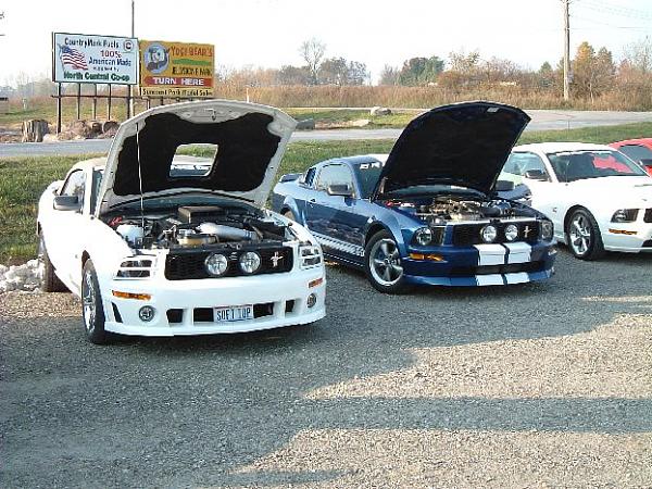 Fall 2008 StangStock!  You, get in here!!-dscf0022.jpg