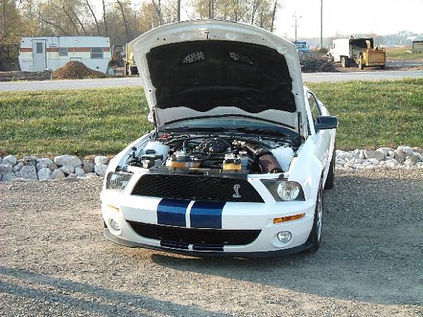 Fall 2008 StangStock!  You, get in here!!-dscf0023.jpg