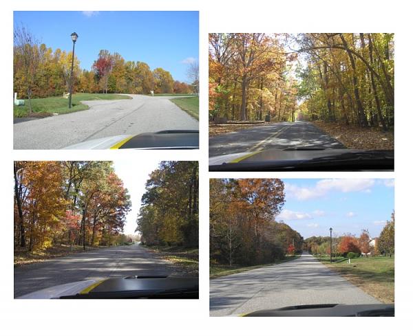 Nov 4th, SCOA Trukey Trot cruise in Central MD.-06tttreepreview.jpg