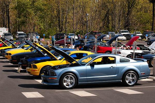 North Olympic Mustangs &amp; Cougars Show-dsc_1114.jpg
