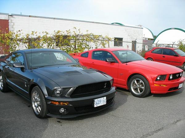 GT500 spotted in Vancouver!-gt500bandgt.jpg