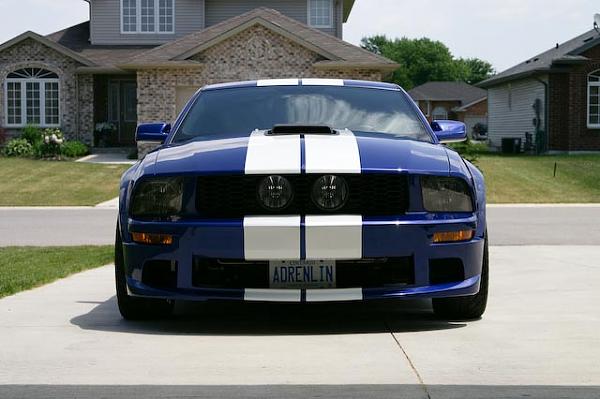 Finally pulled over for not having a plate-pict3465.jpg