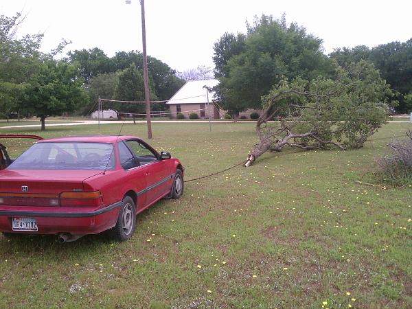 HONDA PRELUDE TREE HAULER!!!-img_20120508_144028.jpg